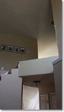 Pasted Graphic 4